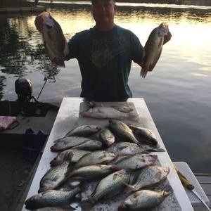 Meet your Posher, Donald